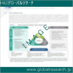 グローバルリサーチ調査レポートのイメージ
